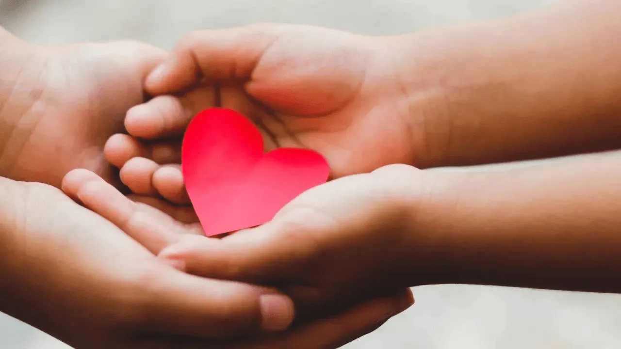 Non-Profit Non-Profit